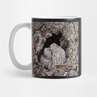 Ural owls kissing Mug